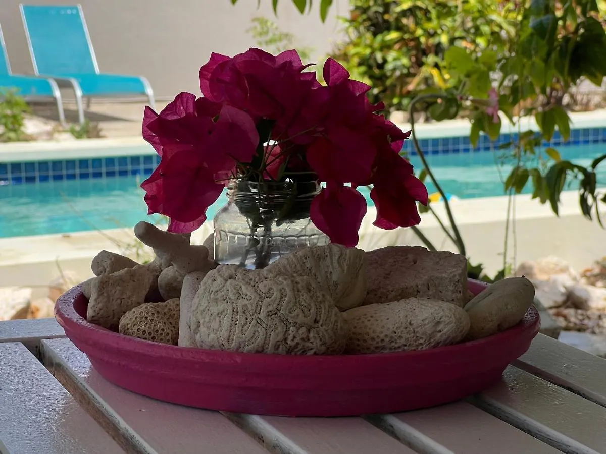 Tropical Breeze Curacao Lägenhet Santa Catharina